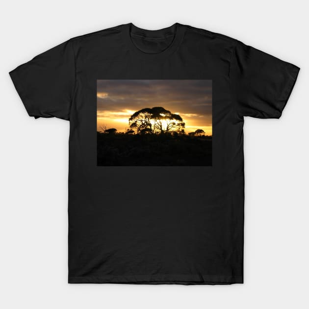 Mundrabilla Morning T-Shirt by Dalekboy